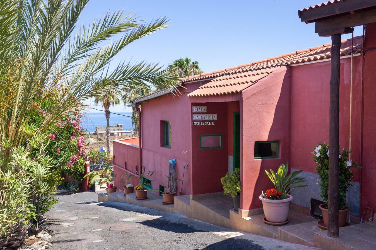Finca La Gaviota - El Rincon Icod De Los Vinos Dış mekan fotoğraf